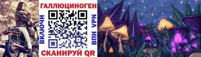 Псилоцибиновые грибы Magic Shrooms  купить наркоту  kraken онион  Гаврилов-Ям 